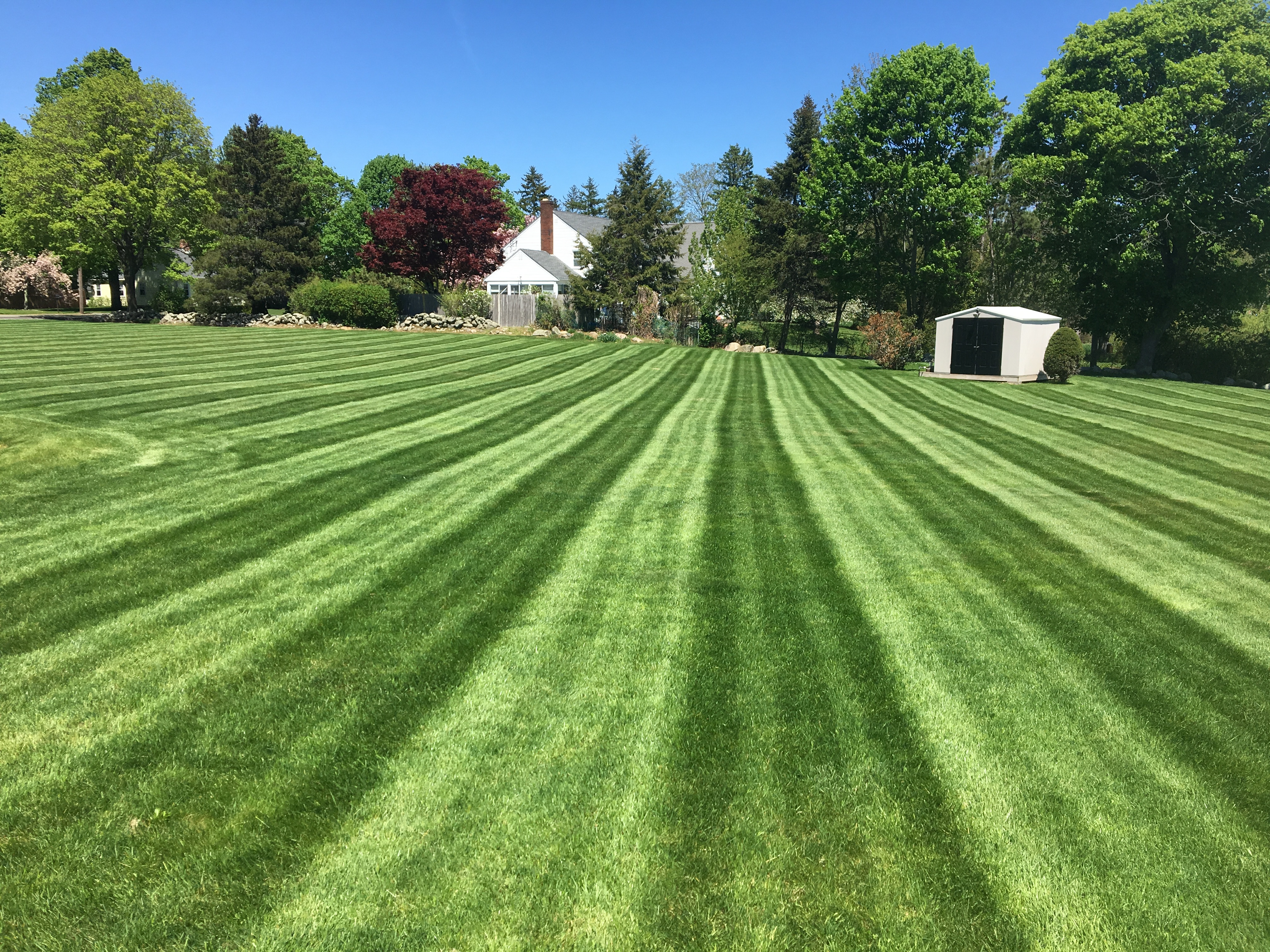 2018 news lawn taken 5-11-18